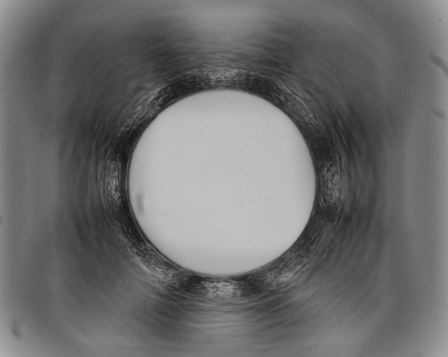 X0000097960698200804141027