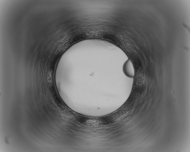 X0000097960699200804141027