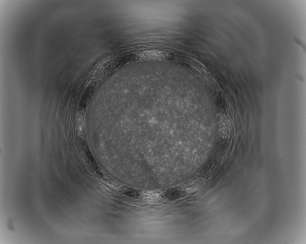 X0000097960701200804141027