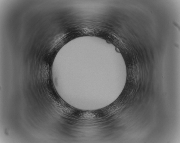 X0000097960702200804141027