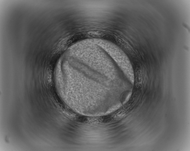 X0000097960706200804141027