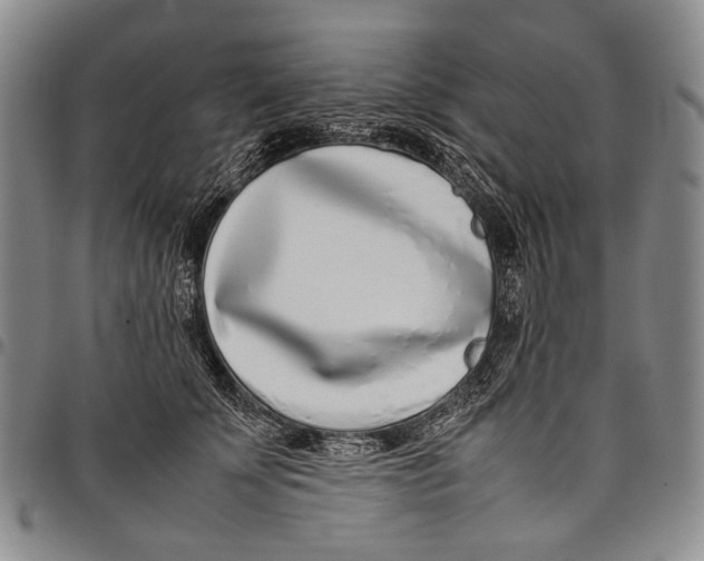 X0000097960707200804141027