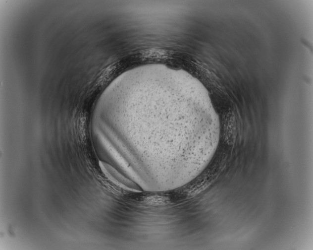 X0000097960708200804141027