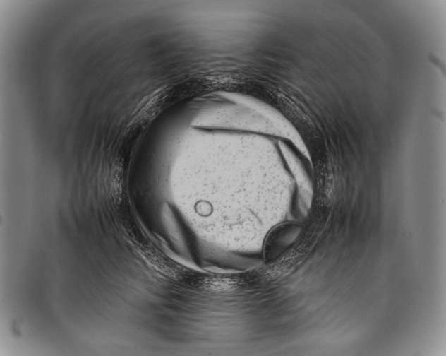 X0000097960710200804141027
