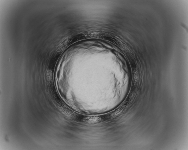 X0000097960711200804141027