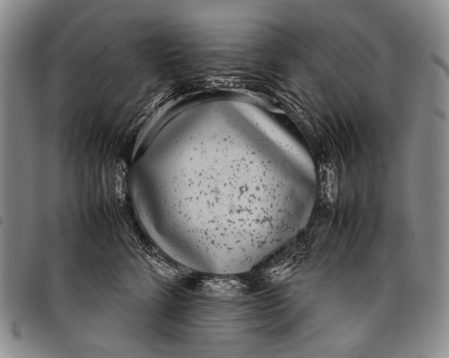 X0000097960712200804141027