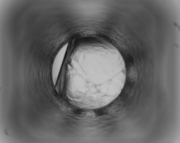 X0000097960715200804141027