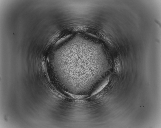 X0000097960716200804141027