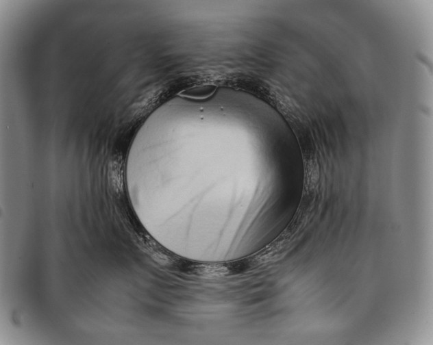 X0000097960719200804141027