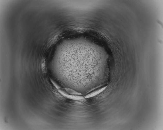 X0000097960720200804141027