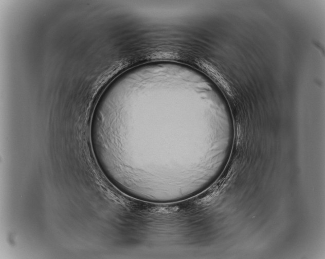 X0000097960721200804141026