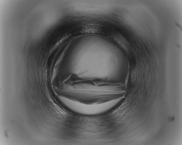 X0000097960722200804141026