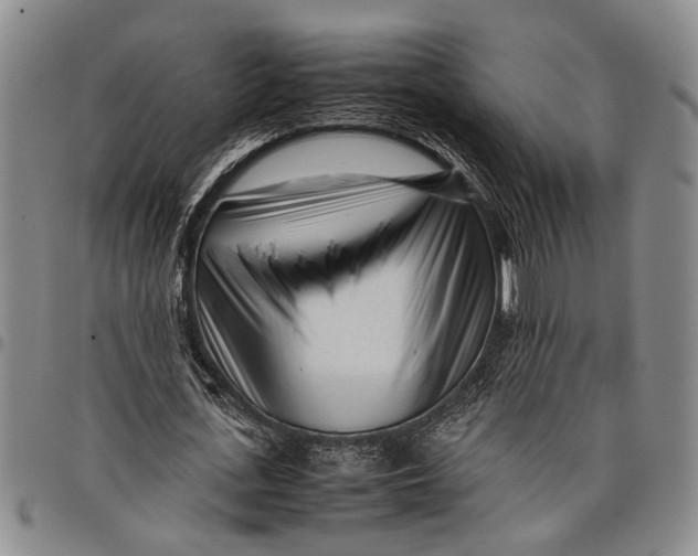 X0000097960723200804141026