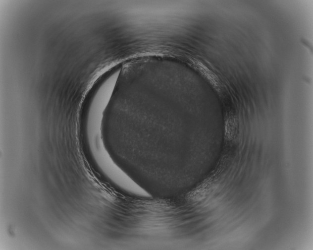 X0000097960724200804141026