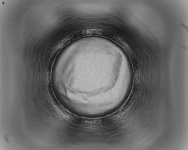 X0000097960725200804141026