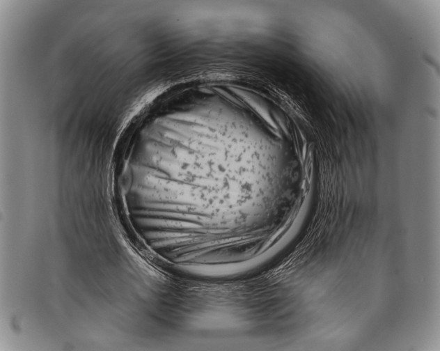 X0000097960726200804141026