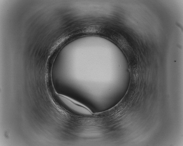 X0000097960728200804141026