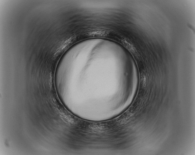 X0000097960729200804141026