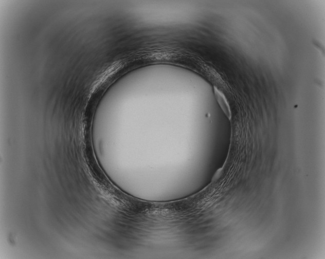 X0000097960730200804141026