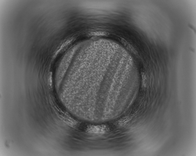 X0000097960731200804141026
