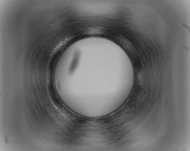 X0000097960732200804141026