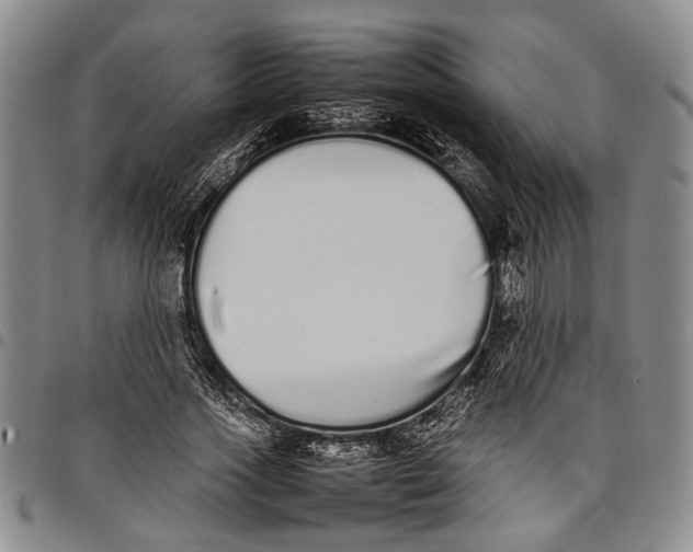 X0000097960733200804141026