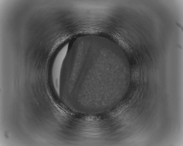 X0000097960736200804141027