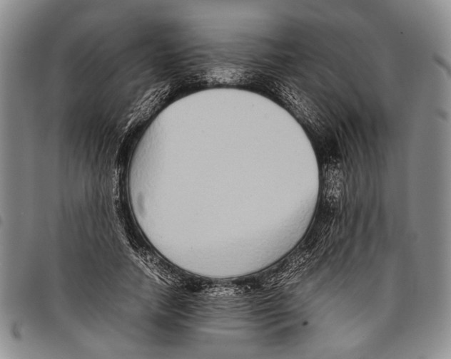 X0000097960738200804141027
