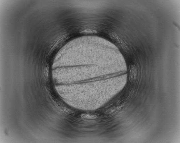 X0000097960739200804141027