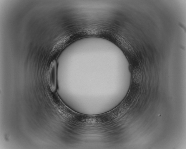 X0000097960740200804141027