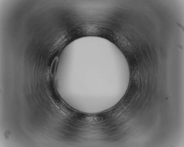 X0000097960744200804141027