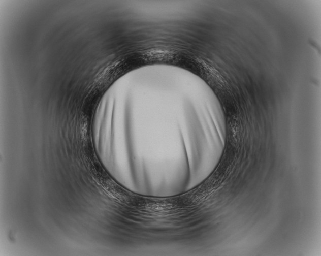 X0000097960745200804141027