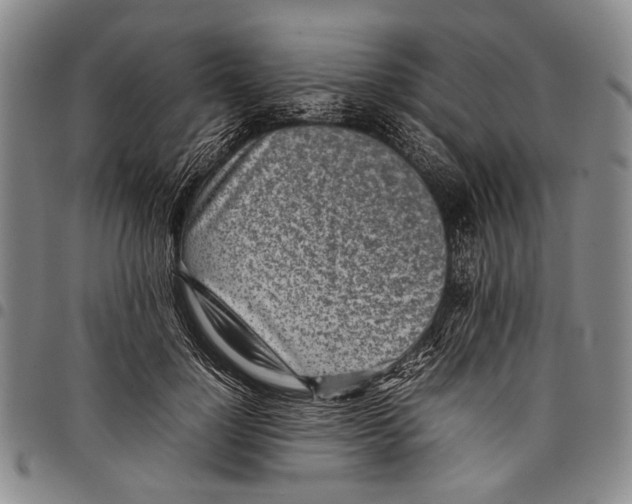 X0000097960748200804141027