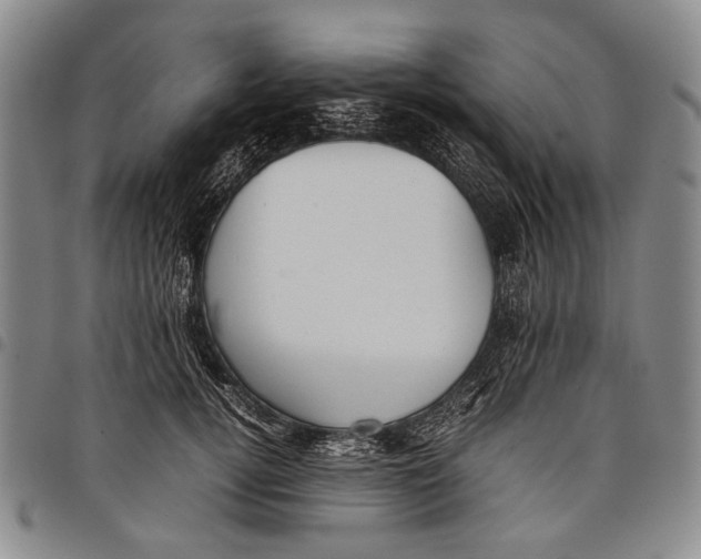 X0000097960752200804141027
