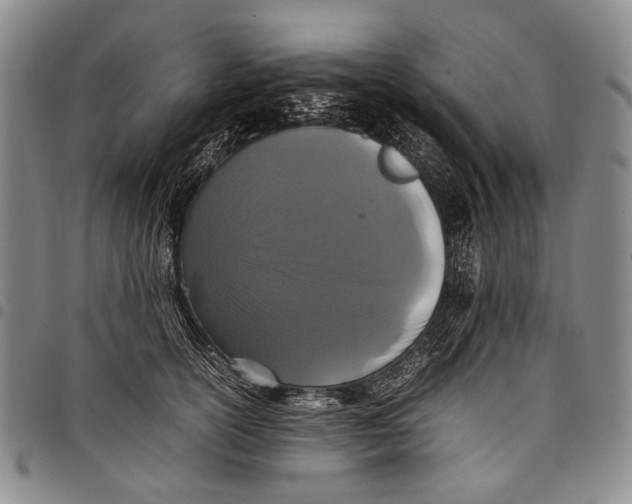 X0000097960754200804141027