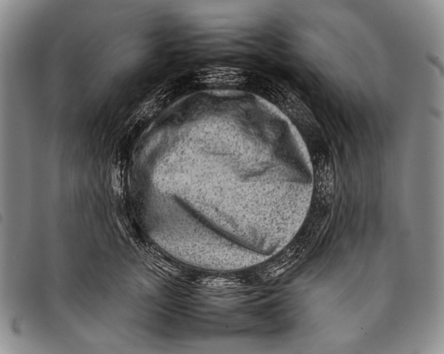 X0000097960755200804141027