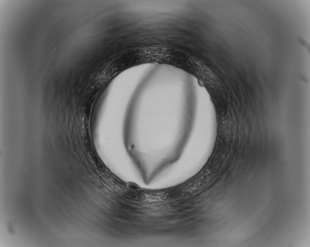 X0000097960757200804141027