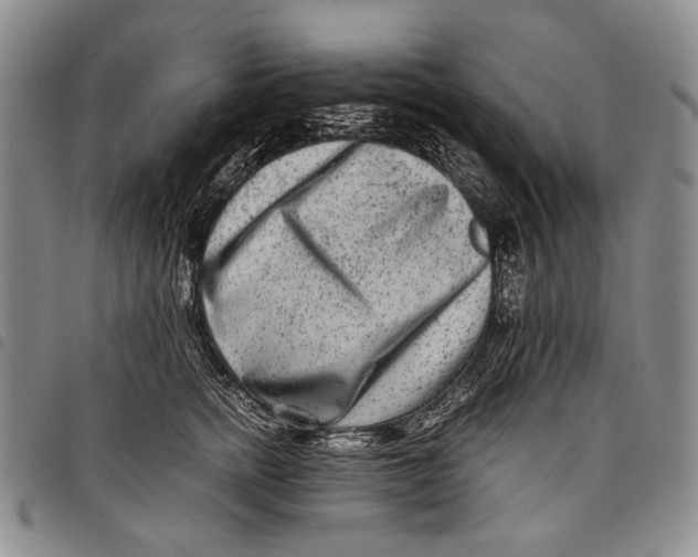 X0000097960758200804141027
