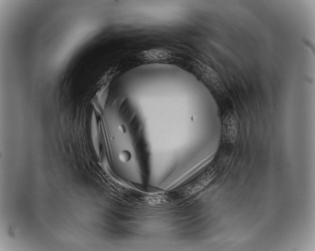 X0000097960762200804141027