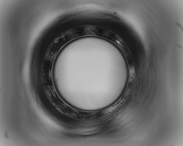 X0000097960765200804141027