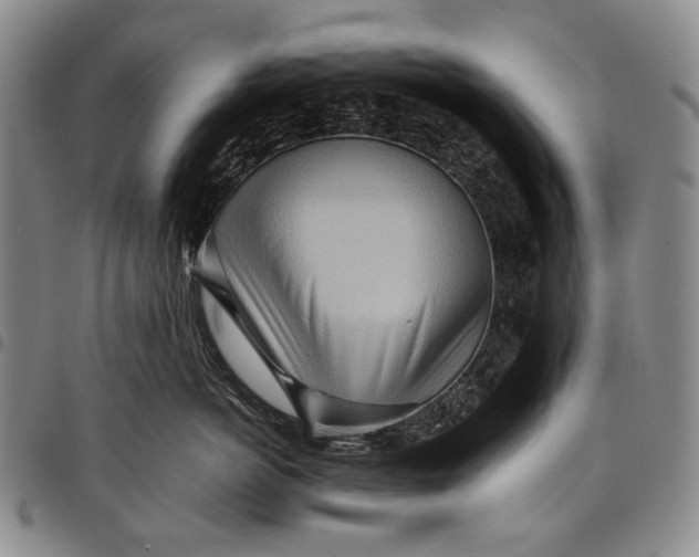 X0000097960766200804141027