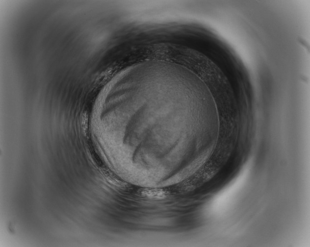 X0000097960767200804141027