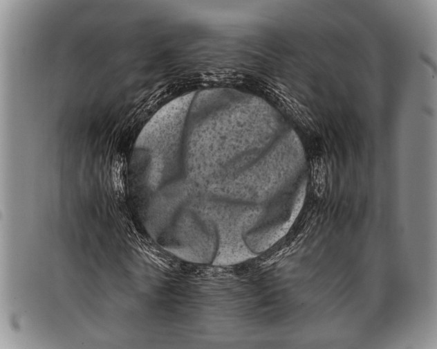 X0000097960770200804141026
