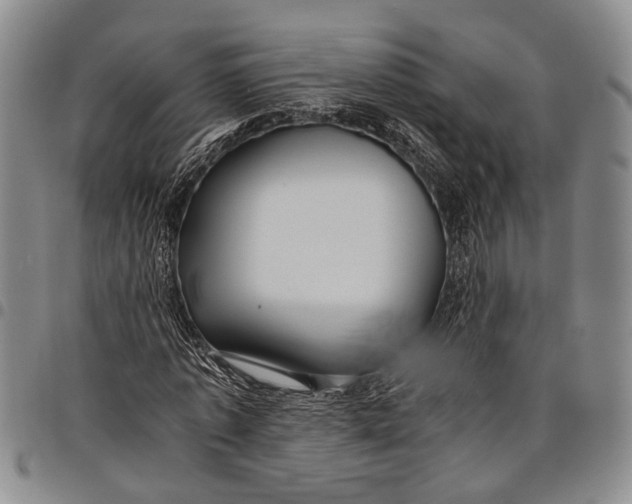 X0000097960773200804141026