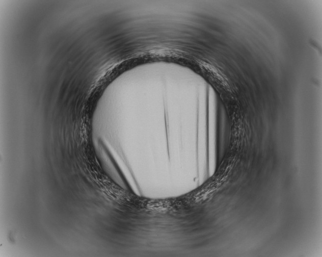 X0000097960776200804141026