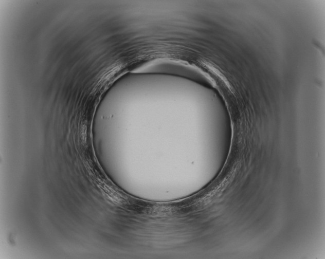 X0000097960777200804141026
