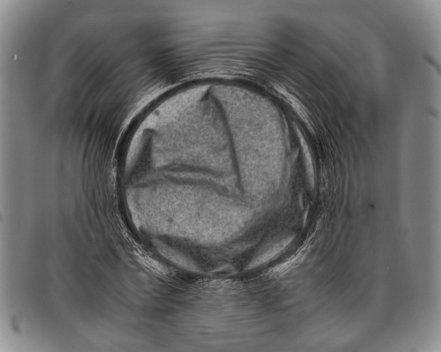 X0000097960779200804141026