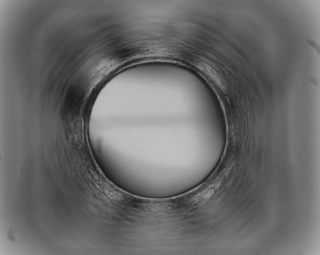 X0000097960781200804141026