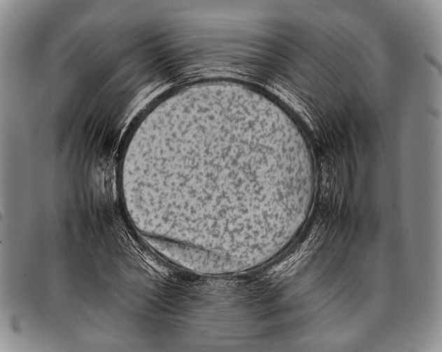 X0000097960782200804141026