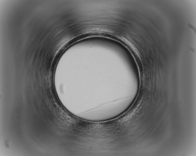 X0000097960783200804141026